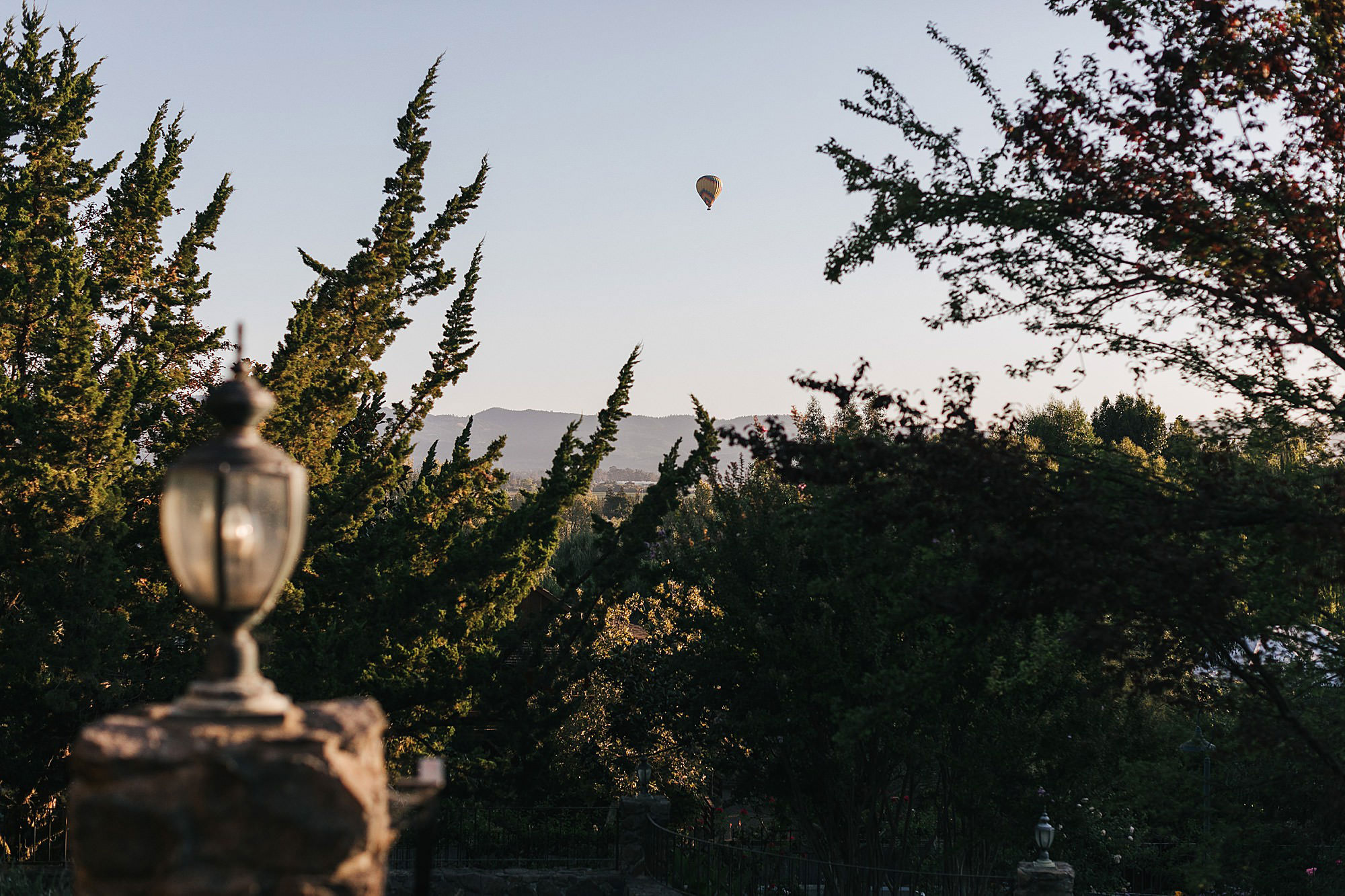 cline cellars indian wedding